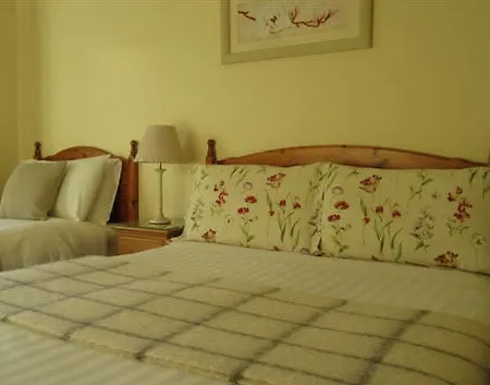 Abbey Lee 4* Salthill